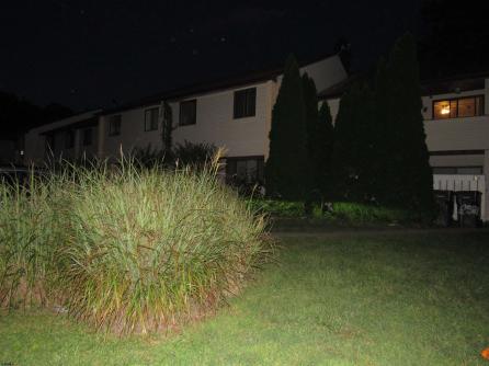 2825 Forsythia, 2825, Mays Landing, NJ, 08330 Aditional Picture