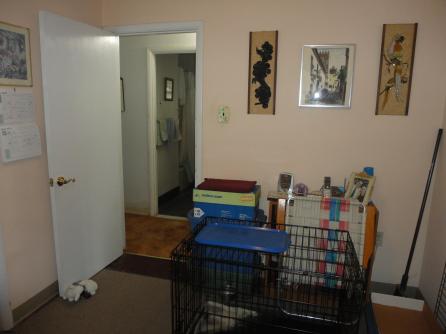 486 Dewey, Bellmawr, NJ, 08031 Aditional Picture