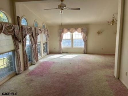10 Locust Ct, Mays Landing, NJ, 08330 Aditional Picture