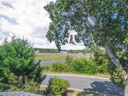 111 Woods Rd, Absecon, NJ, 08201 Aditional Picture