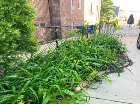 26 LaClede, Lower Chelsea, NJ, 08401 Aditional Picture