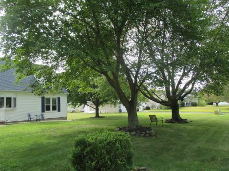 11 Country Village Dr, Cape May Court House, NJ, 08210 Aditional Picture