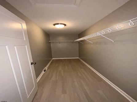 80 Pinetree, Mays Landing, NJ, 08330 Aditional Picture
