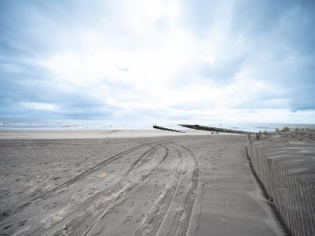 811 Delancey, Ocean City, NJ, 08226 Aditional Picture