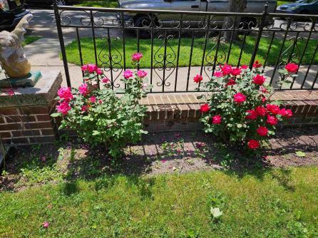 119 Buffalo Ave, Egg Harbor City, NJ, 08215 Aditional Picture
