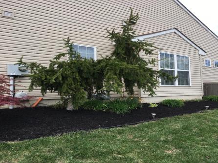 109 Deal, Mays Landing, NJ, 08330 Aditional Picture