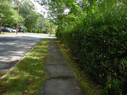 217 PITNEY, Galloway Township, NJ, 08205 Aditional Picture
