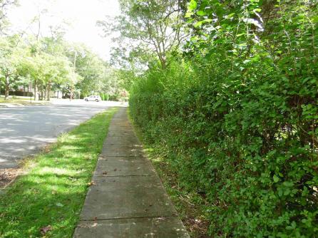 217 PITNEY, Galloway Township, NJ, 08205 Aditional Picture