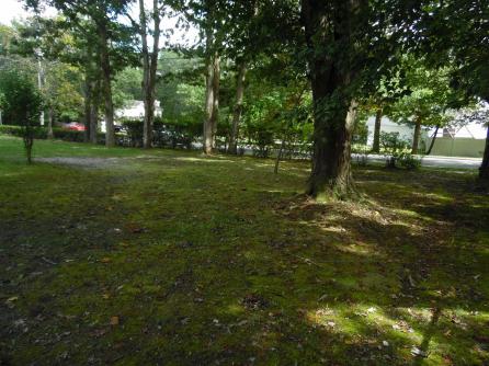 217 PITNEY, Galloway Township, NJ, 08205 Aditional Picture