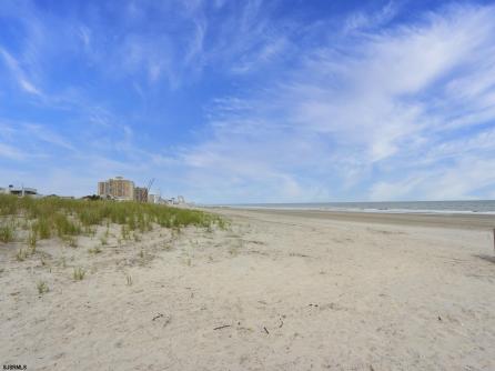 111 Dudley, 209, Ventnor, NJ, 08406 Aditional Picture