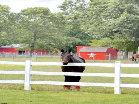 3138 / 3142 Moss Mill Road, Hammonton, NJ, 08037 Aditional Picture