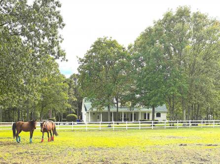 3138 / 3142 Moss Mill Road, Hammonton, NJ, 08037 Aditional Picture