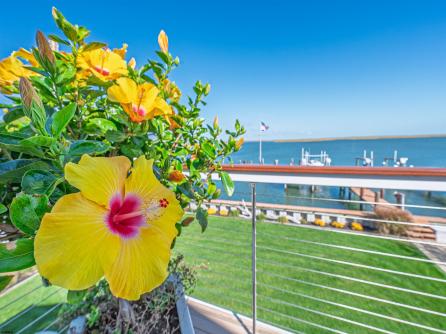 1411 E Shore Drive, Brigantine, NJ, 08203 Aditional Picture