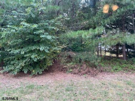 152 Muirfield Ct., Mays Landing, NJ, 08330 Aditional Picture