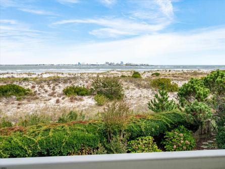9 Newcastle, Ocean City, NJ, 08226 Aditional Picture