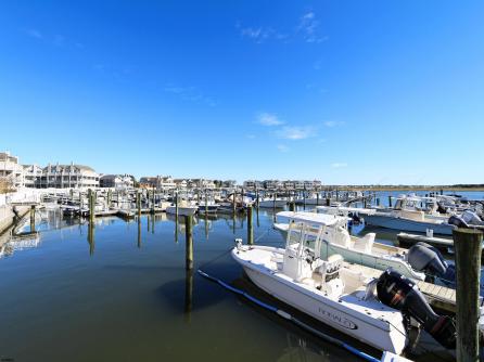 413 Whelk, 1st Floor, Ocean City, NJ, 08226 Aditional Picture