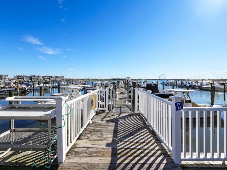 413 Whelk, 1st Floor, Ocean City, NJ, 08226 Aditional Picture