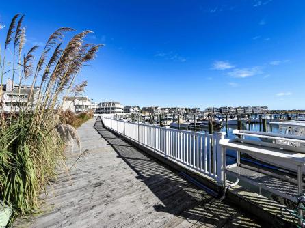 413 Whelk, 1st Floor, Ocean City, NJ, 08226 Aditional Picture