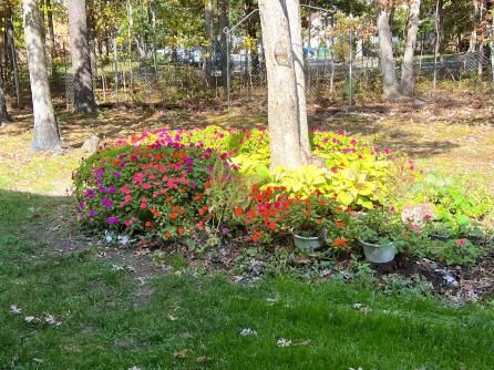 1 Country Magnolia, 1, Egg Harbor Township, NJ, 08234 Aditional Picture