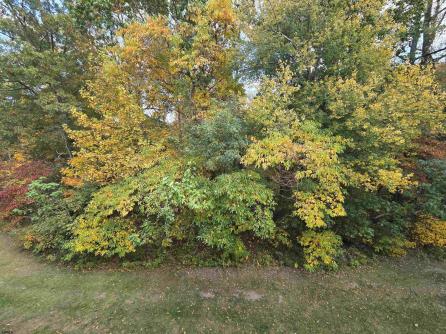 148 Natalie Rd, 148, Riverside Township, NJ, 08075 Aditional Picture