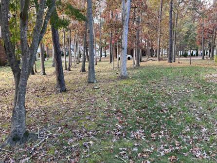 21 Country Magnolia, 21, Egg Harbor Township, NJ, 08234 Aditional Picture