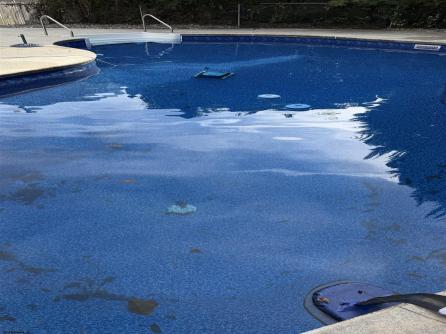 11 Dani, Northfield, NJ, 08225 Aditional Picture