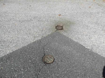 00 HOLLY, Galloway Township, NJ, 08205 Aditional Picture