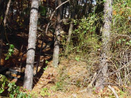 00 HOLLY, Galloway Township, NJ, 08205 Aditional Picture