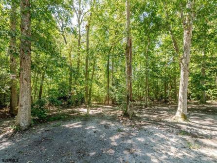 12 Vella La Vella Ln, Egg Harbor Township, NJ, 08234 Aditional Picture