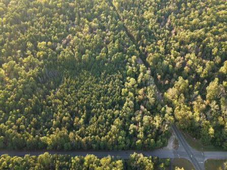 B:534 L:12.02 Estelle, Mays Landing, NJ, 08330 Aditional Picture