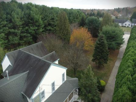 1981 Tuckahoe, Petersburg, NJ, 08270 Aditional Picture