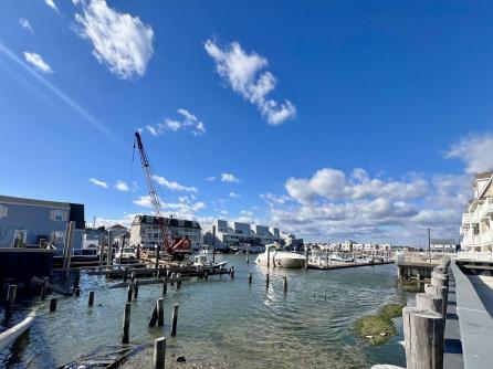 3914 Phyllis Ave, Atlantic City, NJ, 08401 Aditional Picture