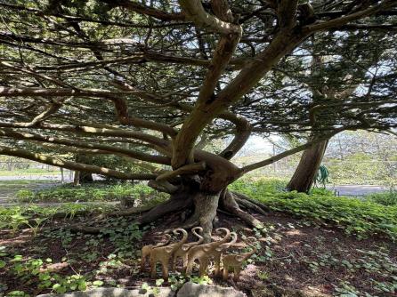 1202 Shore Rd, Northfield, NJ, 08225 Aditional Picture