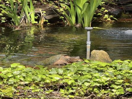 1202 Shore Rd, Northfield, NJ, 08225 Aditional Picture