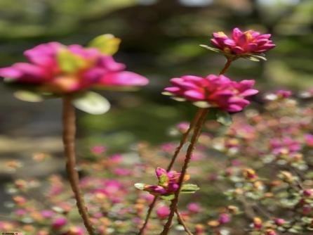 1202 Shore Rd, Northfield, NJ, 08225 Aditional Picture