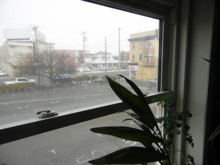 6 BELLEVUE, Atlantic City, NJ, 08401 Aditional Picture