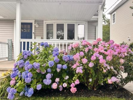 653 4th, Somers Point, NJ, 08244 Aditional Picture