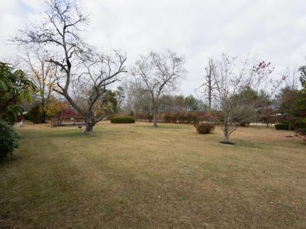 379 Vienna Ave, Egg Harbor City, NJ, 08215 Aditional Picture