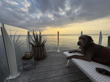 69 Beach, Cape May Court House, NJ, 08210 Aditional Picture