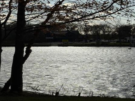 225 Old River Road, Mays Landing, NJ, 08330 Aditional Picture