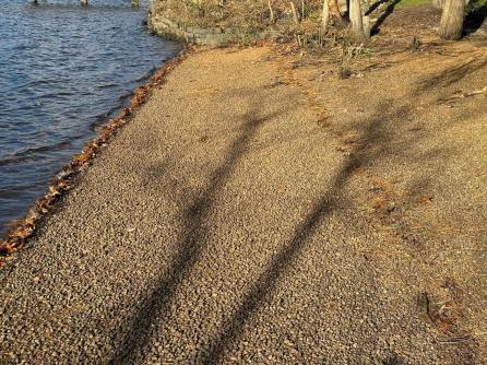 225 Old River Road, Mays Landing, NJ, 08330 Aditional Picture