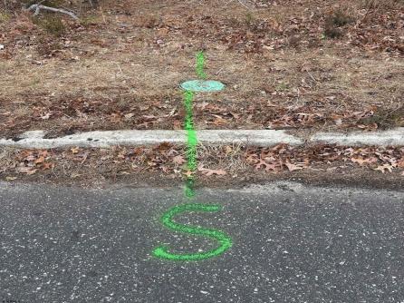 124 Leo, Egg Harbor Township, NJ, 08234 Aditional Picture