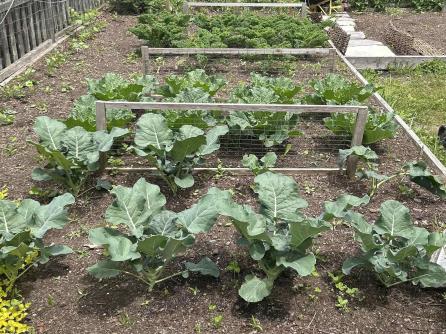 520 8th, Galloway Township, NJ, 08205 Aditional Picture