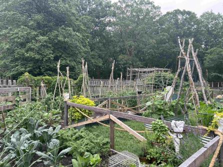 520 8th, Galloway Township, NJ, 08205 Aditional Picture