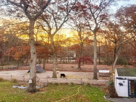 520 8th, Galloway Township, NJ, 08205 Aditional Picture