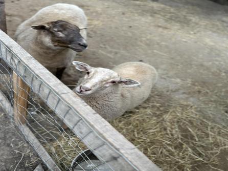 520 8th, Galloway Township, NJ, 08205 Aditional Picture