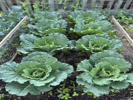 520 8th, Galloway Township, NJ, 08205 Aditional Picture