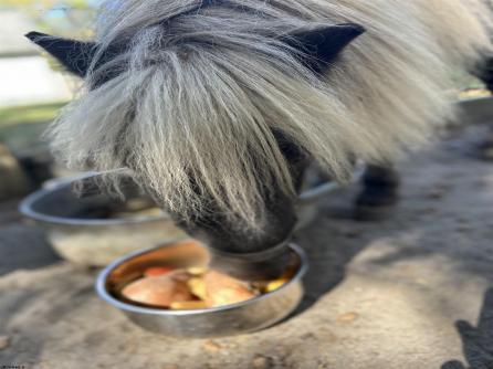 520 8th, Galloway Township, NJ, 08205 Aditional Picture