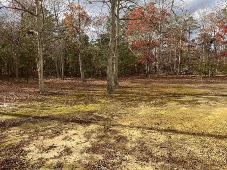 124 Butter Road, Ocean View, NJ, 08230 Aditional Picture