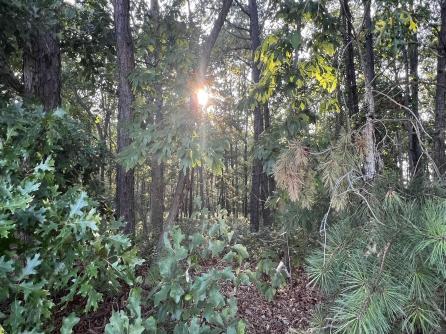 3073 Tremont, Egg Harbor Township, NJ, 08234 Aditional Picture